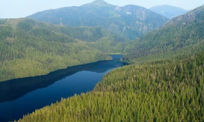 Τα 10 μεγαλύτερα δάση στον κόσμο 4 tongass