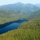 Τα 10 μεγαλύτερα δάση στον κόσμο 4 tongass